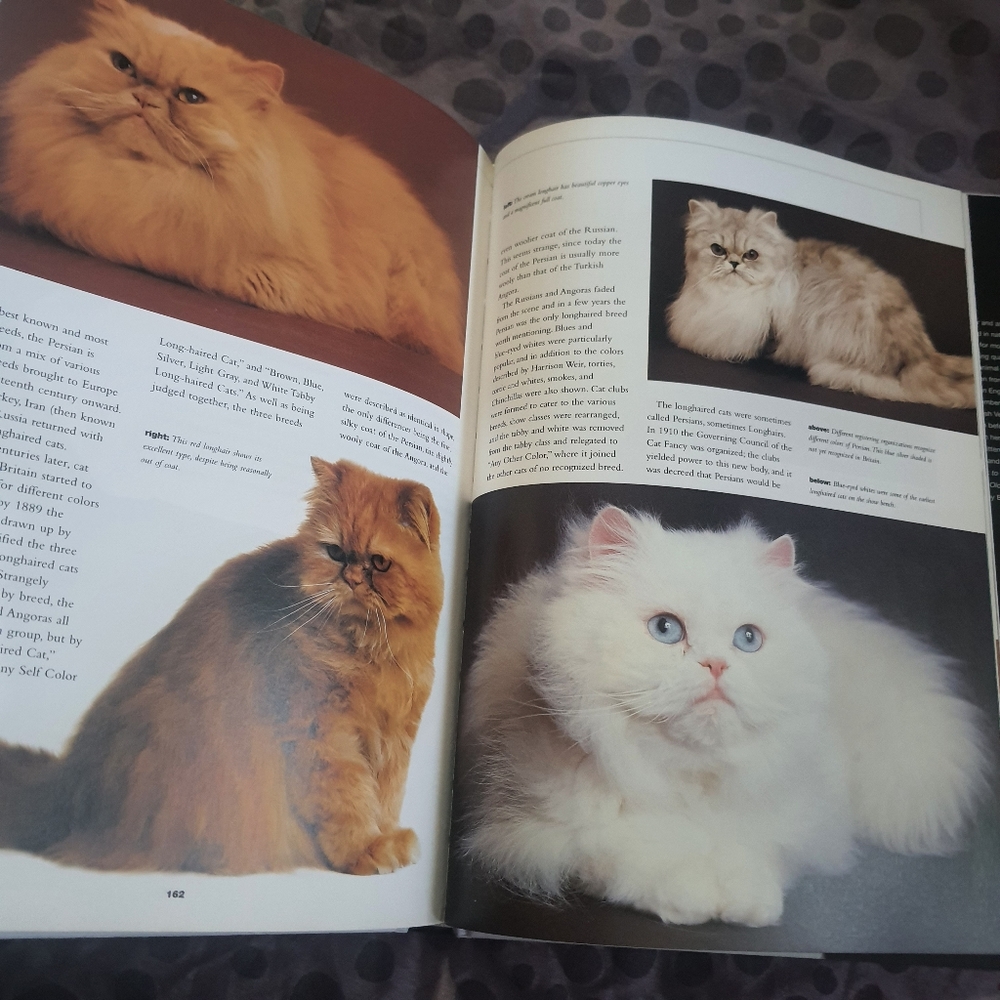 Complete Guide To Cats Coffee Table Book - Picture 7 of 7